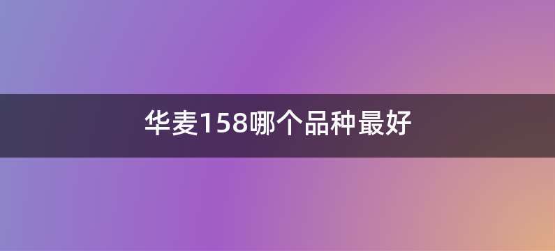 华麦158哪个品种最好