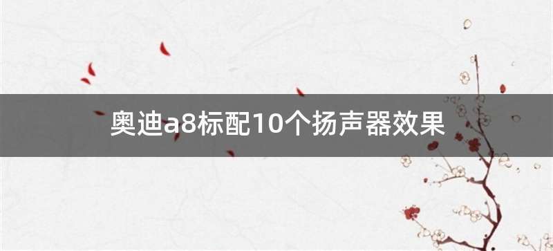 奥迪a8标配10个扬声器效果