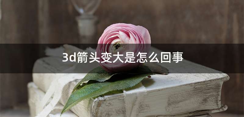 3d箭头变大是怎么回事