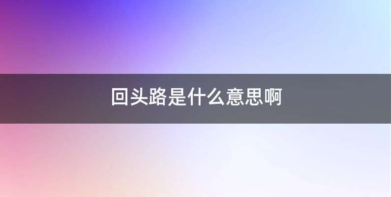 回头路是什么意思啊