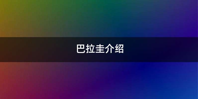 巴拉圭介绍