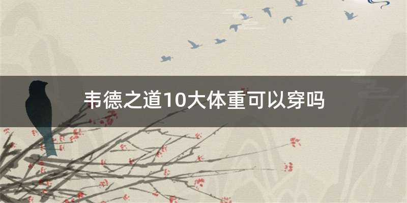 韦德之道10大体重可以穿吗