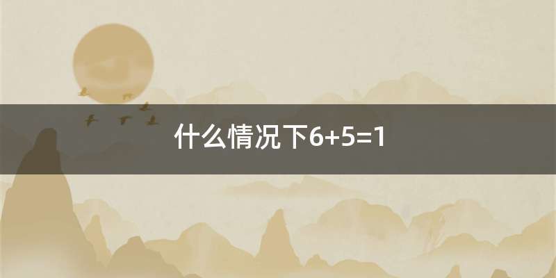 什么情况下6+5=1