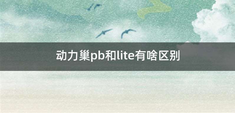 动力巢pb和lite有啥区别