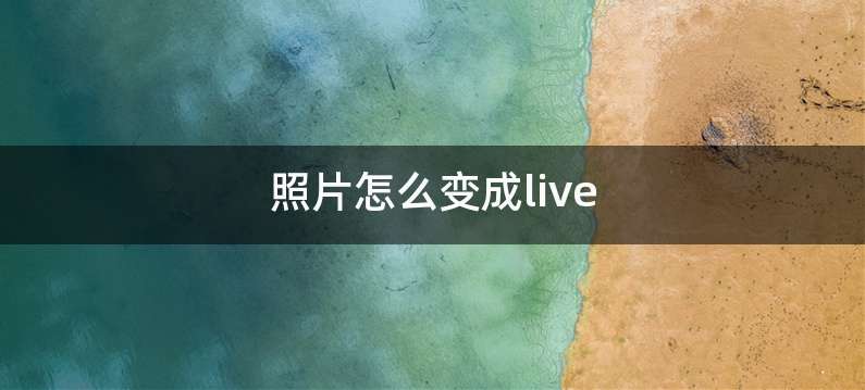 照片怎么变成live