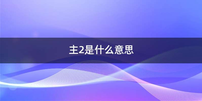 主2是什么意思