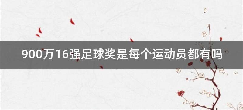 900万16强足球奖是每个运动员都有吗