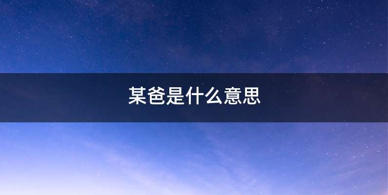 某爸是什么意思