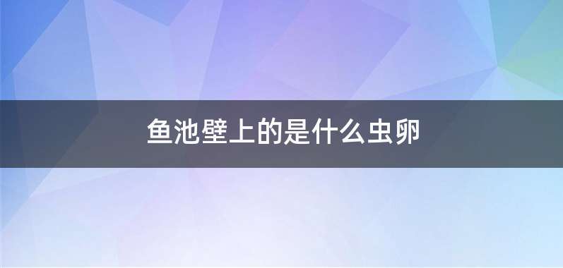 鱼池壁上的是什么虫卵