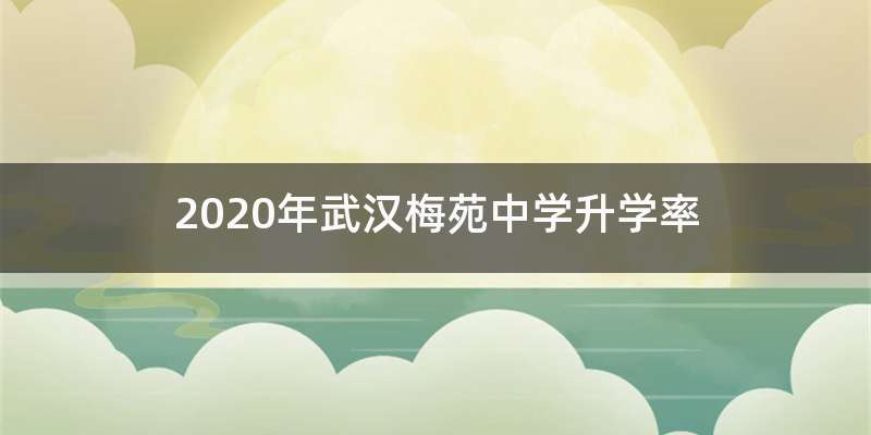 2020年武汉梅苑中学升学率