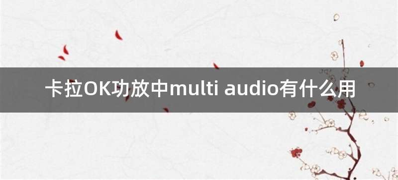 卡拉OK功放中multi audio有什么用