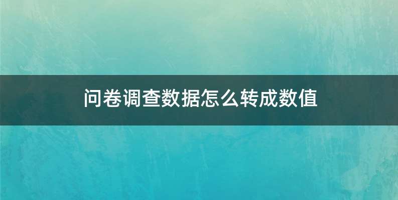 问卷调查数据怎么转成数值