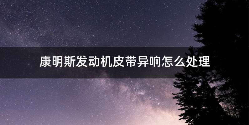 康明斯发动机皮带异响怎么处理