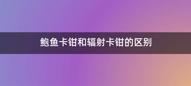 鲍鱼卡钳和辐射卡钳的区别