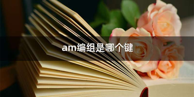 am编组是哪个键