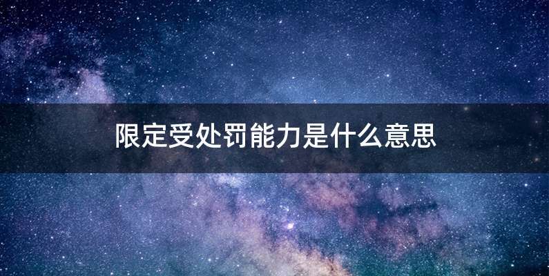 限定受处罚能力是什么意思