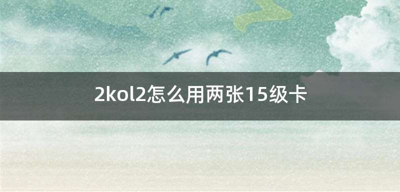 2kol2怎么用两张15级卡