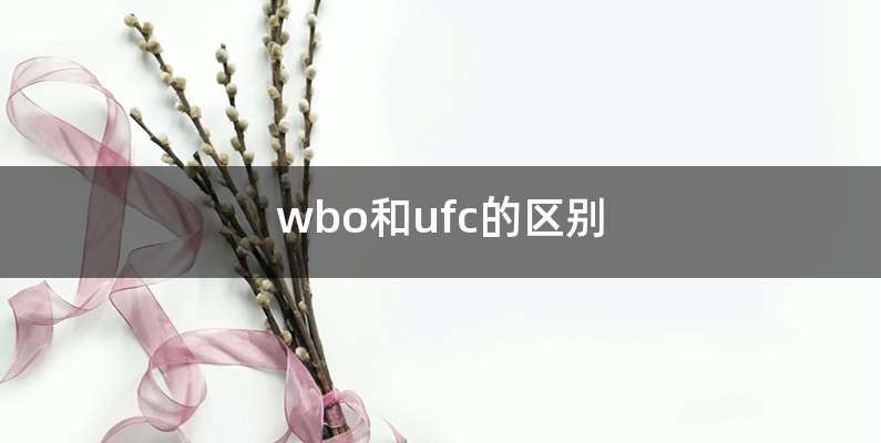 wbo和ufc的区别