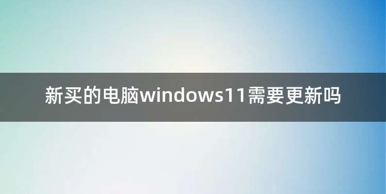 新买的电脑windows11需要更新吗