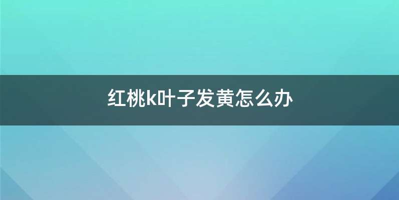 红桃k叶子发黄怎么办