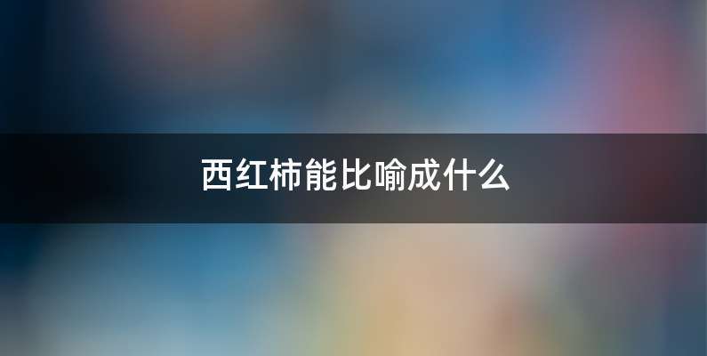 西红柿能比喻成什么