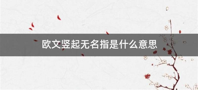 欧文竖起无名指是什么意思