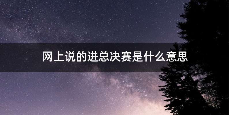 网上说的进总决赛是什么意思