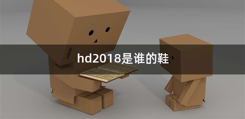 hd2018是谁的鞋