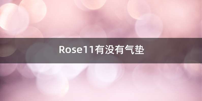 Rose11有没有气垫