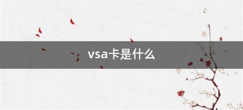 vsa卡是什么