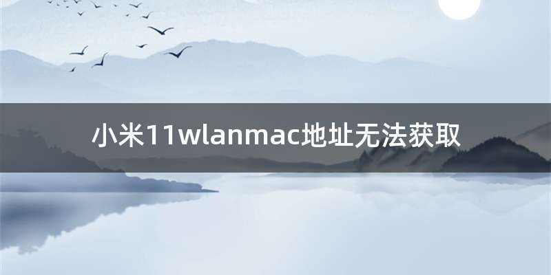 小米11wlanmac地址无法获取