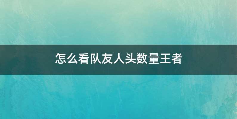 怎么看队友人头数量王者