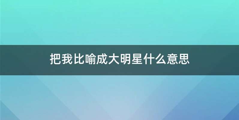 把我比喻成大明星什么意思