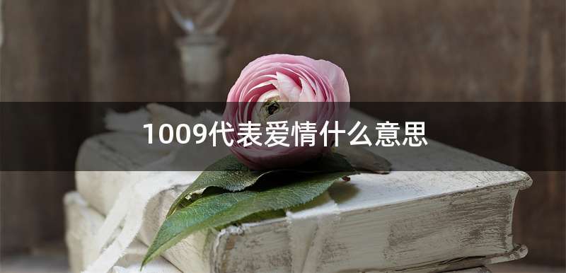 1009代表爱情什么意思