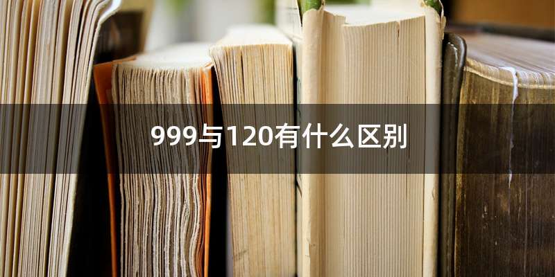 999与120有什么区别