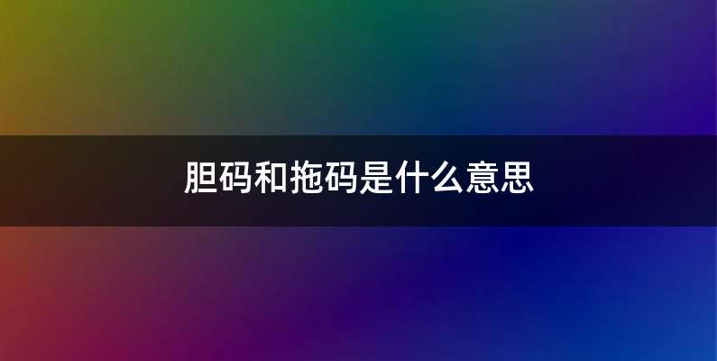 胆码和拖码是什么意思