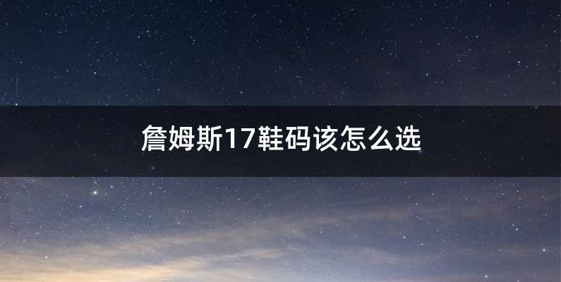 詹姆斯17鞋码该怎么选