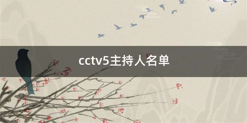 cctv5主持人名单