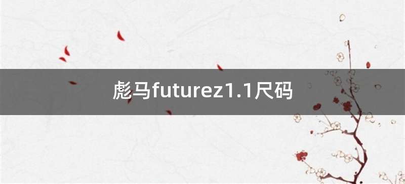 彪马futurez1.1尺码