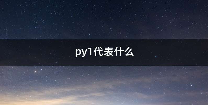 py1代表什么