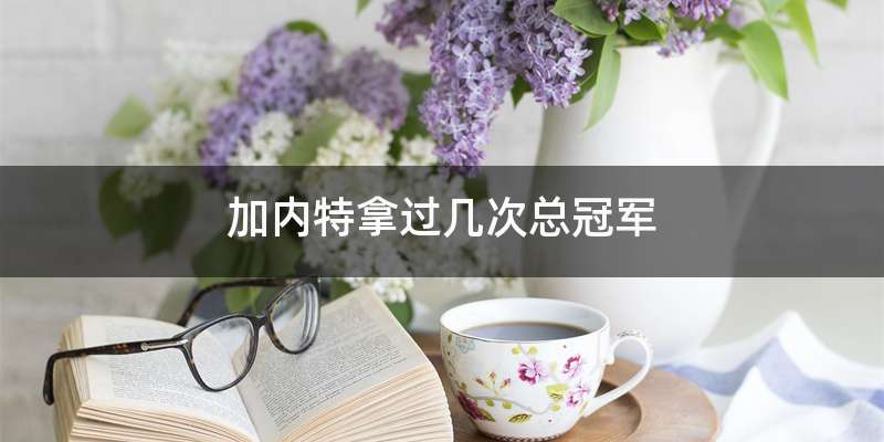 加内特拿过几次总冠军