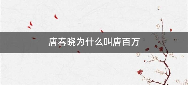 唐春晓为什么叫唐百万