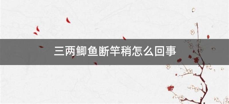 三两鲫鱼断竿稍怎么回事