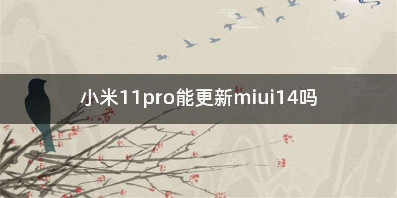 小米11pro能更新miui14吗