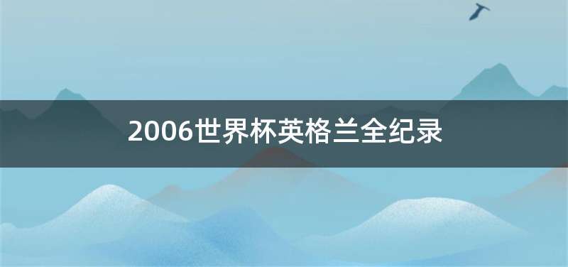 2006世界杯英格兰全纪录