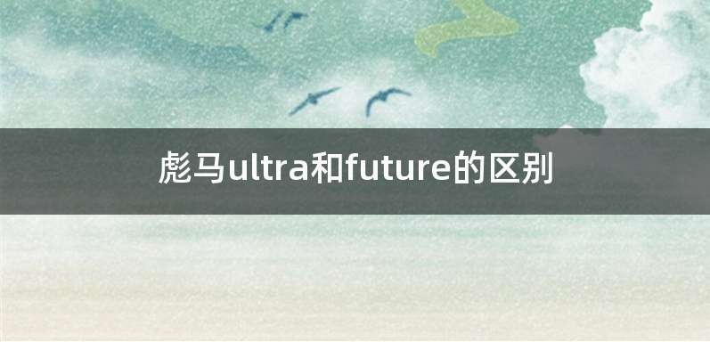 彪马ultra和future的区别