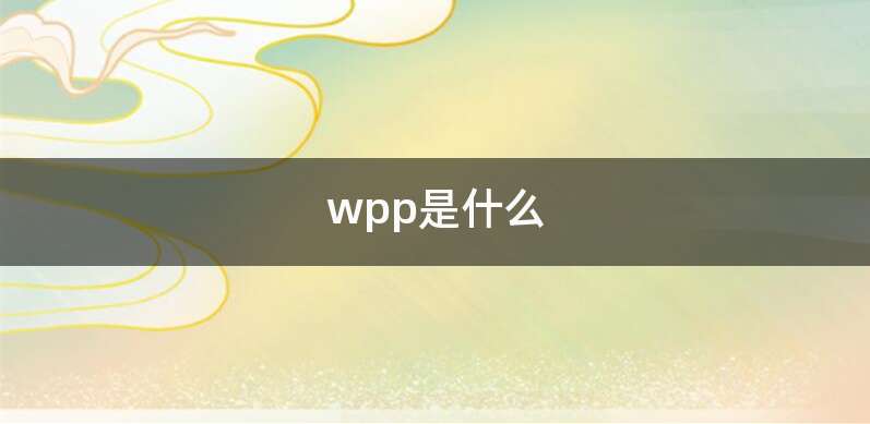 wpp是什么