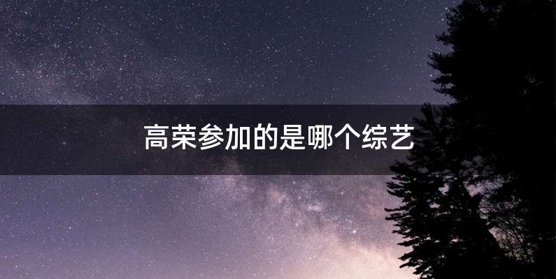 高荣参加的是哪个综艺