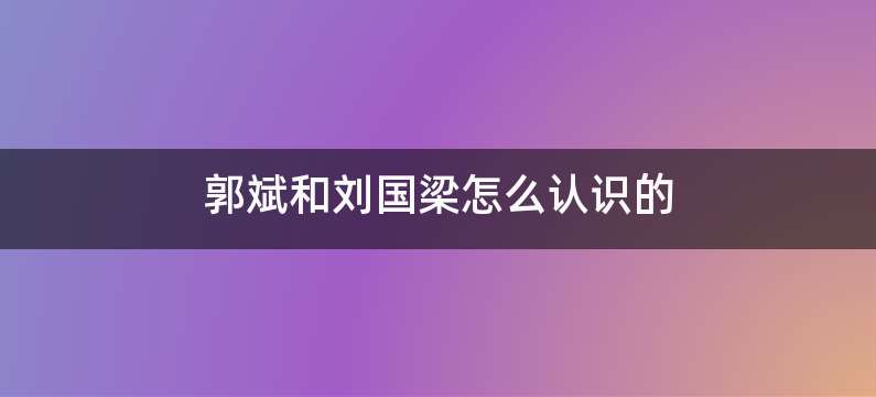 郭斌和刘国梁怎么认识的