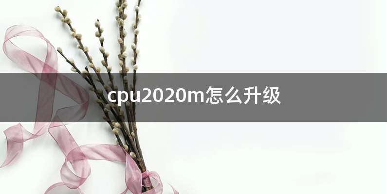 cpu2020m怎么升级